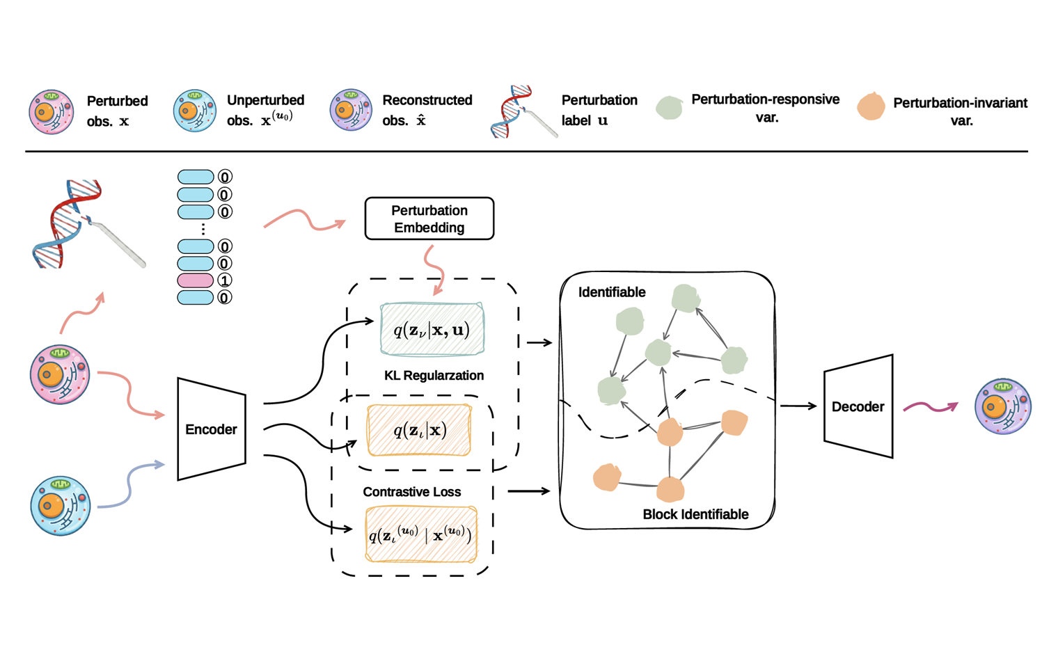 What Makes a Good Representation for Single-Cell Perturbation Prediction?